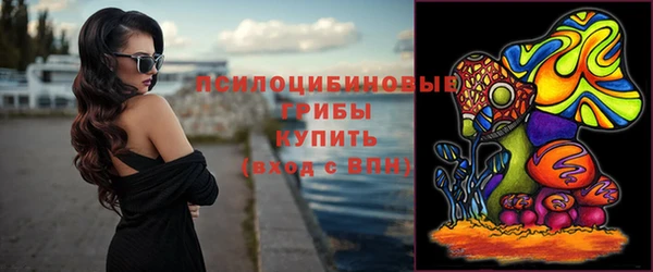 apvp Алзамай